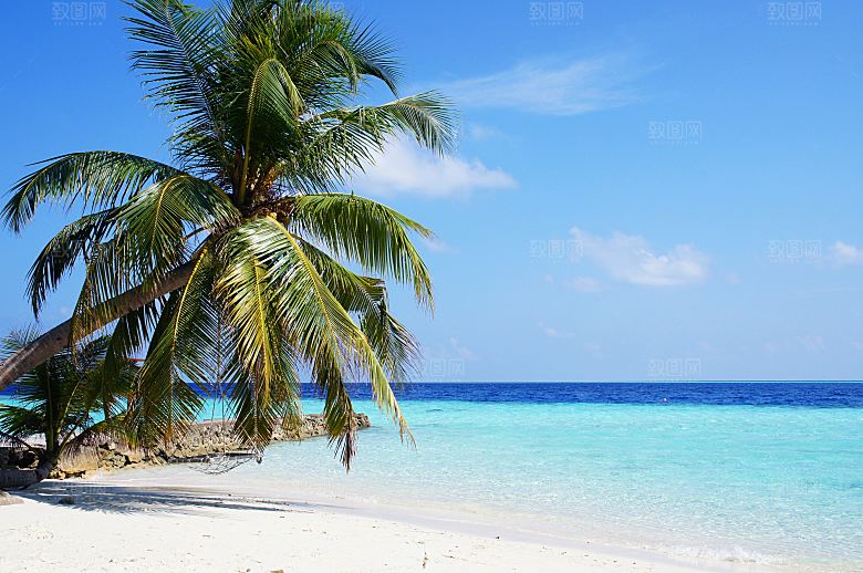 高清海景海滩沙滩海边大海蓝色海洋壁纸