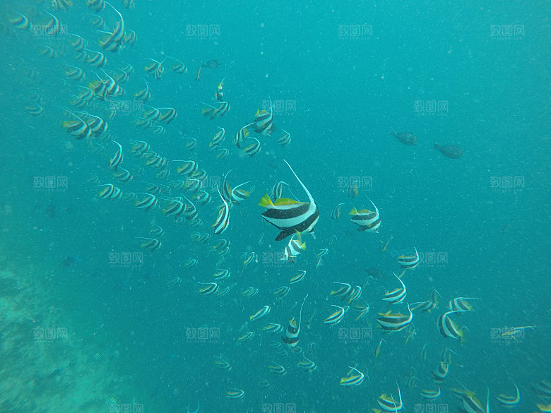 马尔代夫海岛海域大海