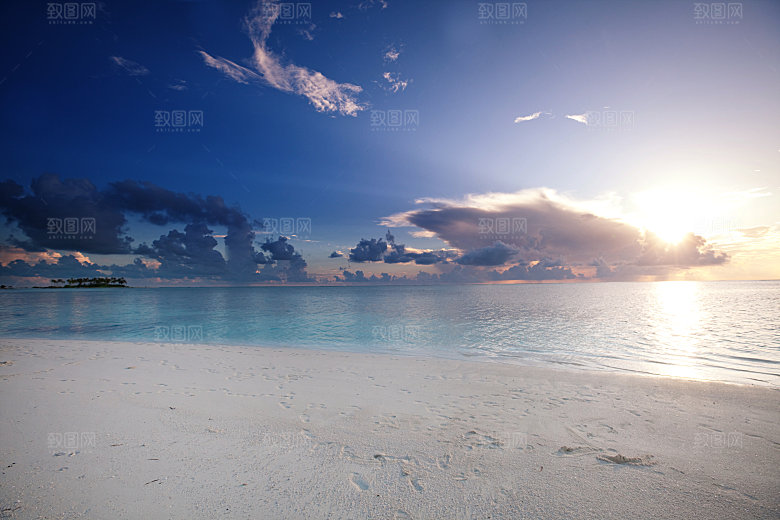 一棵美丽的热带海滩上白沙的棕榈树