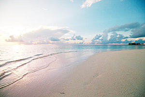 一棵美丽的热带海滩上白沙的棕榈树