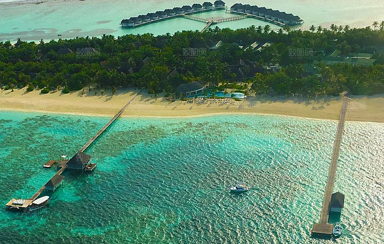 一棵美丽的热带海滩上白沙的棕榈树
