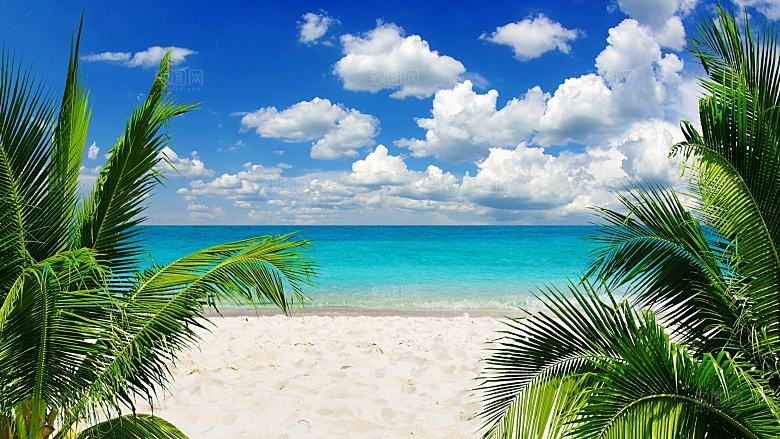 4K高清海景海滩沙滩海边大海蓝色海洋壁纸