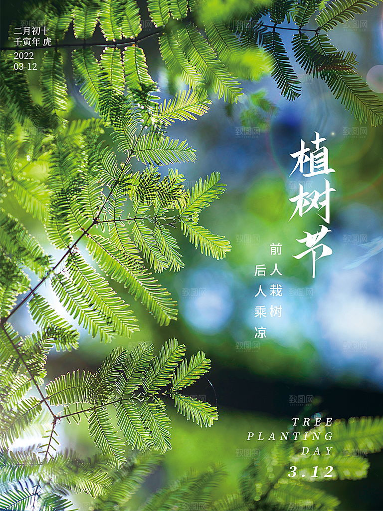 312植树节插画海报模版