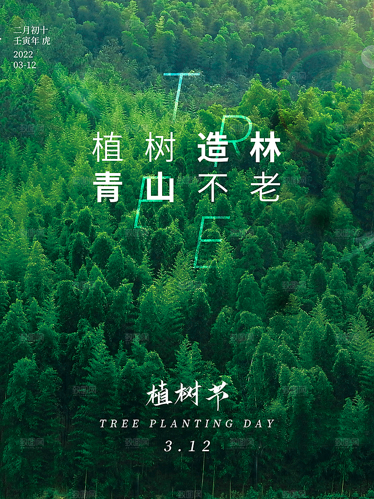 312植树节插画海报模版