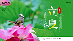 立夏节气简约大气海报