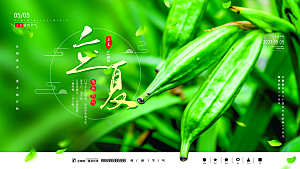 立夏节气简约大气海报