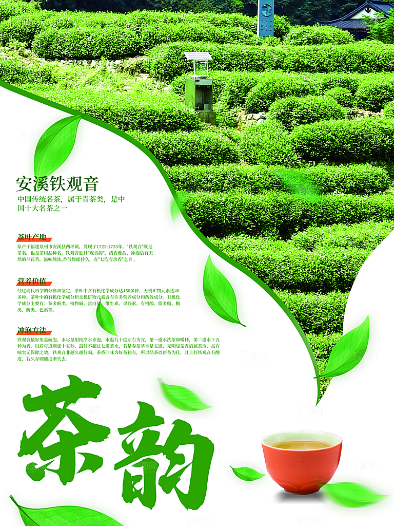 茶韵安溪铁观音上市