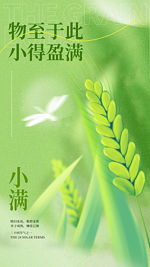 小满节气创意简约海报