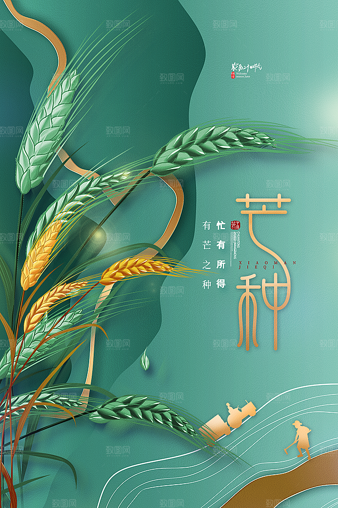 芒种节气简约大气海报