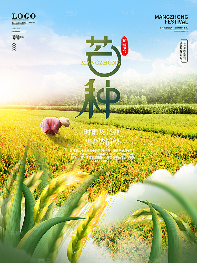 芒种节气简约大气海报