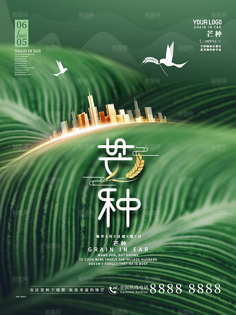 芒种节气简约大气海报