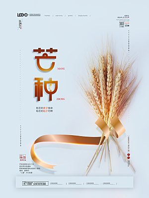 芒种节气简约大气海报