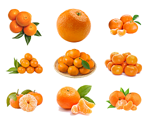 免抠新鲜橘子元素