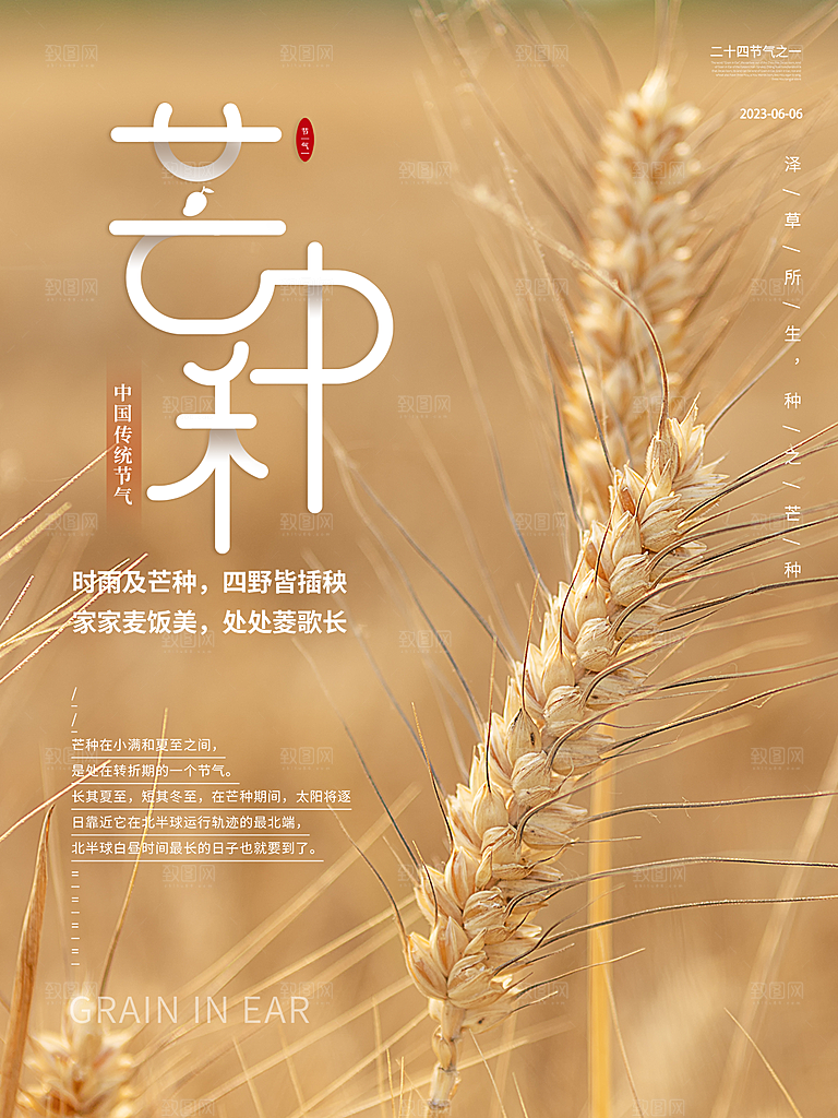 传统节气芒种海报模版