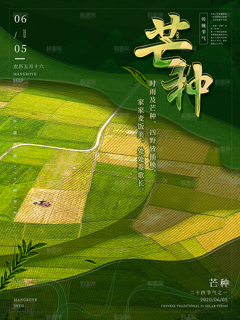 传统节气芒种海报模版
