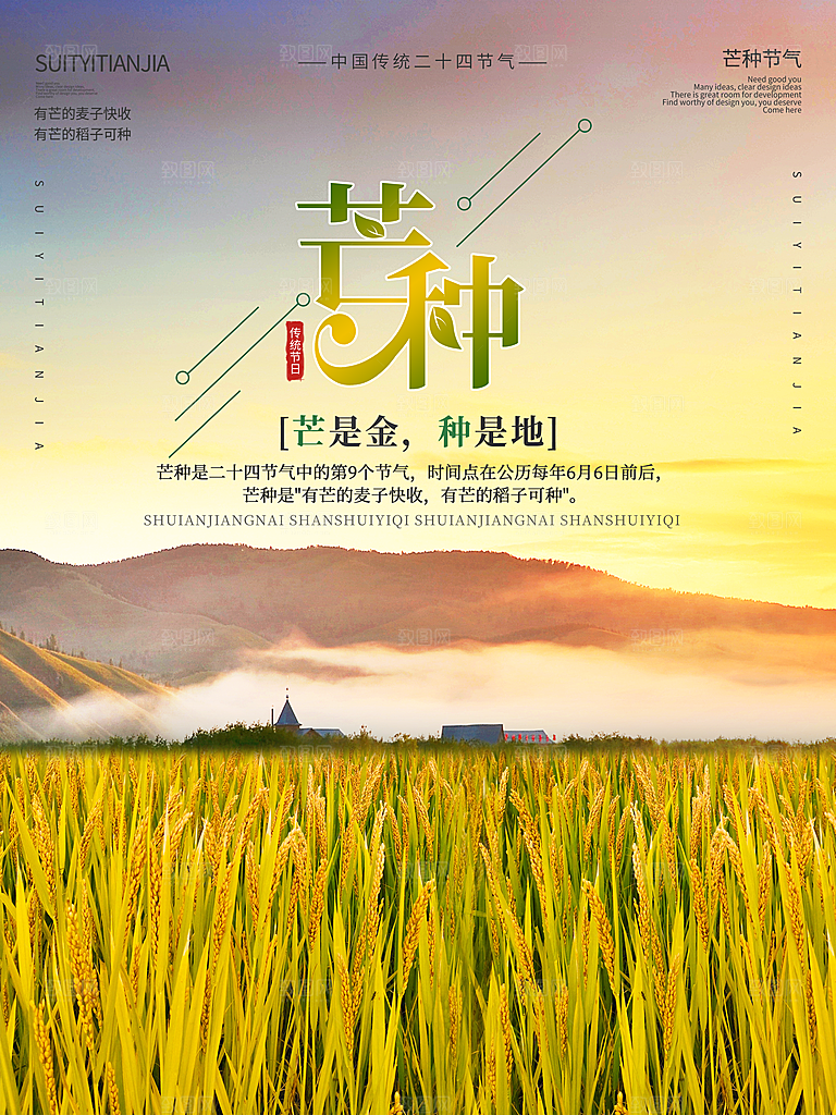 芒种节气简约大气海报
