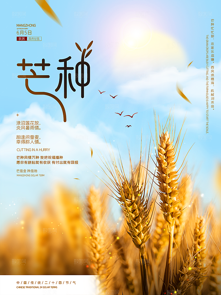 芒种节气简约大气海报