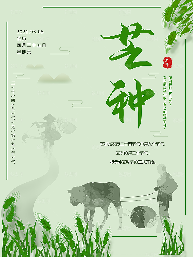 芒种节气简约大气海报