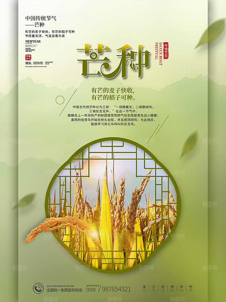 芒种节气简约大气海报