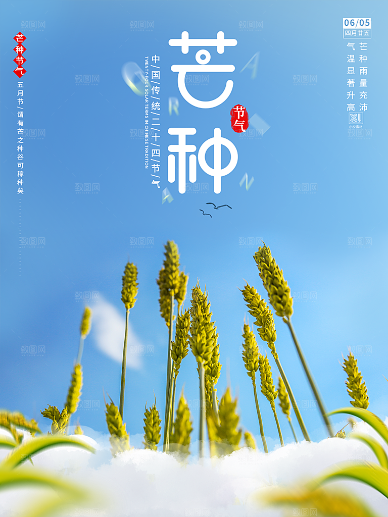 芒种节气简约大气海报