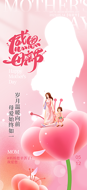传统节日母亲节宣传海报
