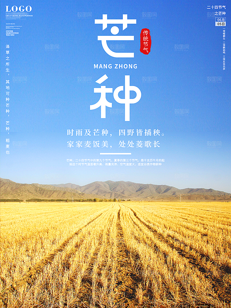 传统节气芒种海报模版