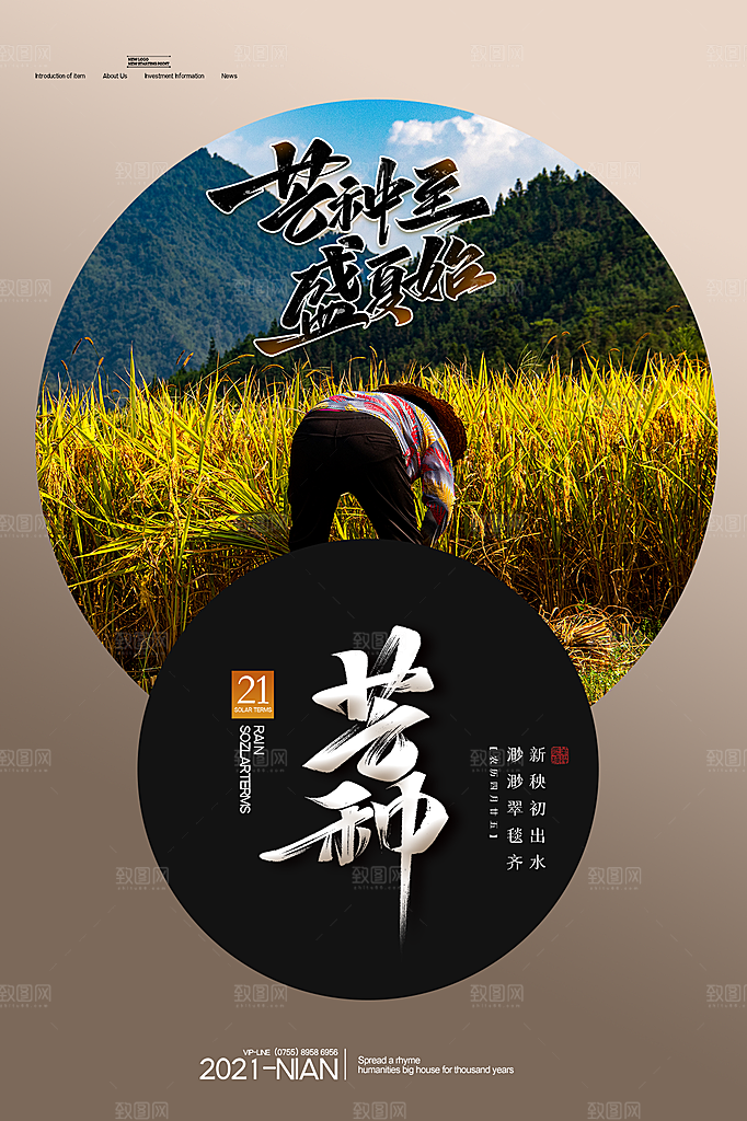 传统节气芒种海报模版