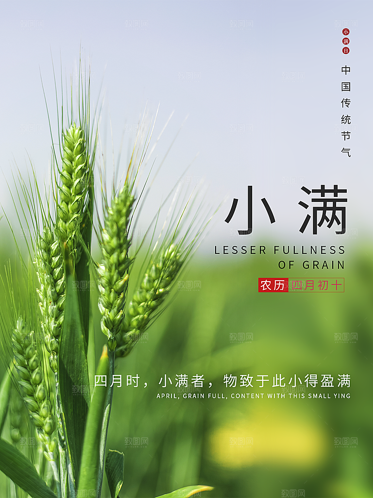 芒种节气简约大气海报