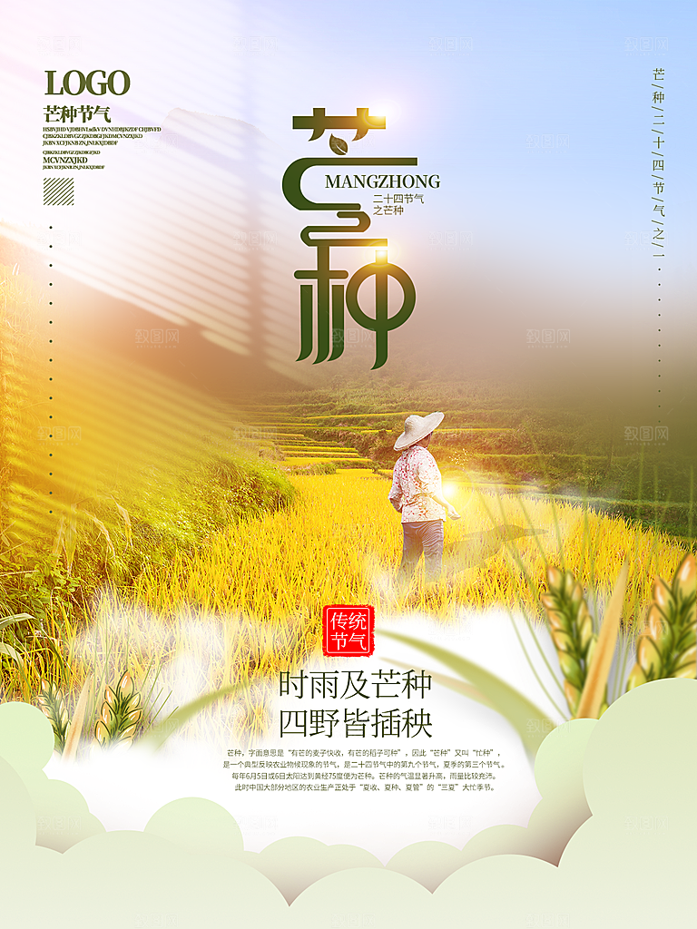 芒种节气简约大气海报
