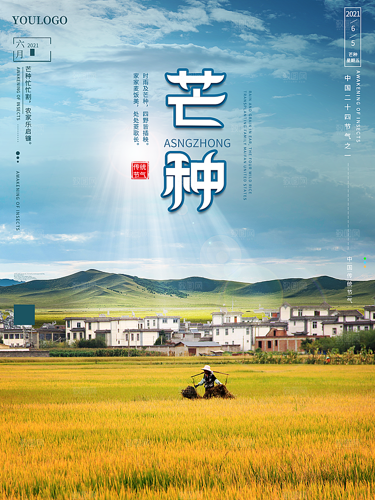 芒种节气简约大气海报