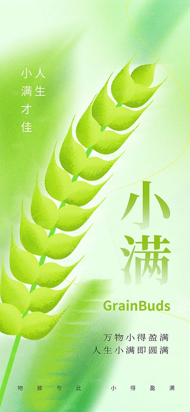 小满节气创意简约海报