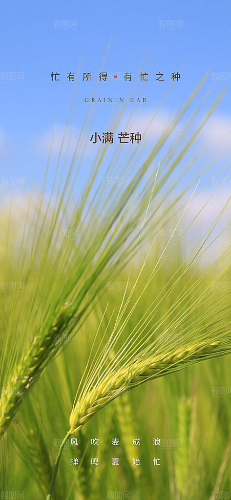 小满芒种节日简约大气海报