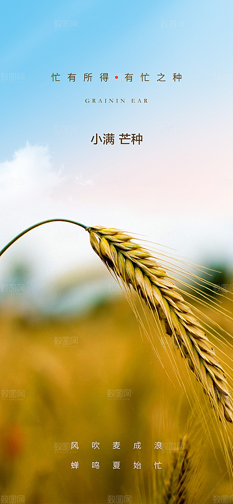 小满芒种节日简约大气海报