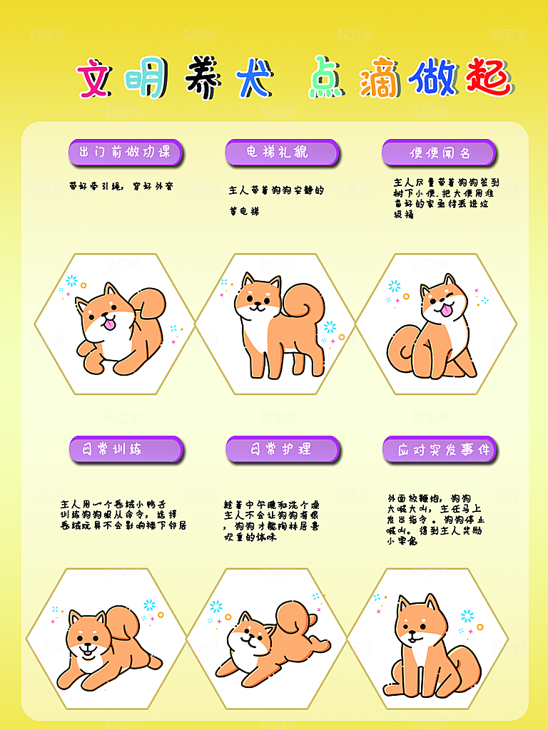 文明养狗点滴做起
