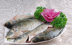 荤菜-鲜鲫鱼高清图片设计素材