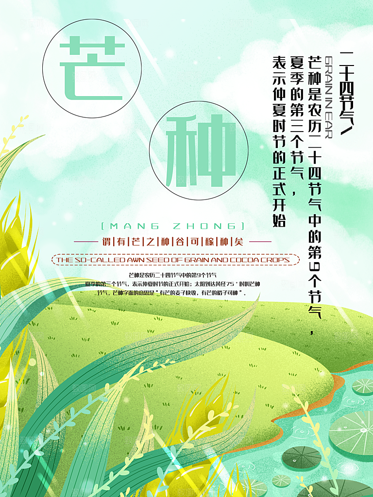 传统二十四节气芒种