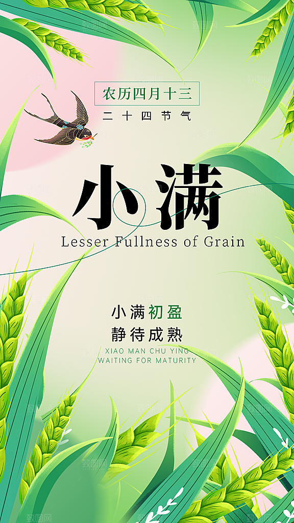 小满节气简约创意全屏海报