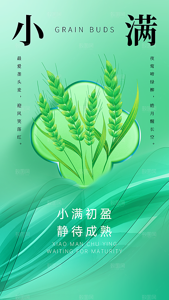 小满节气简约创意全屏海报