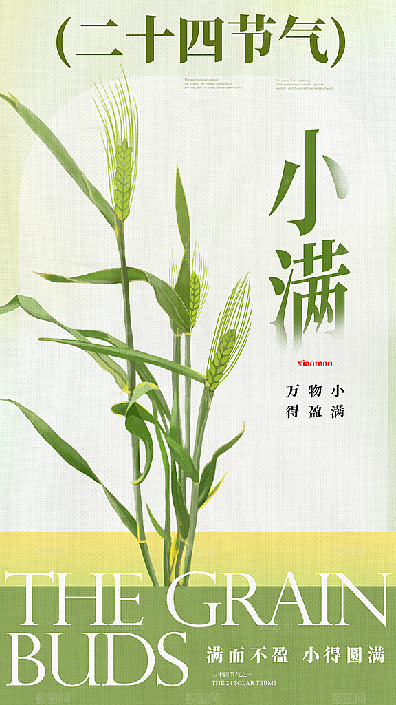 小满节气简约创意全屏海报