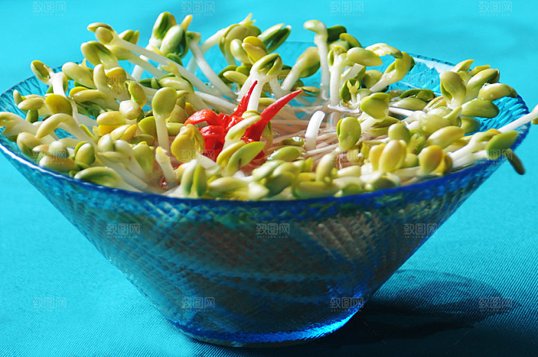 豆芽高清图片设计素材