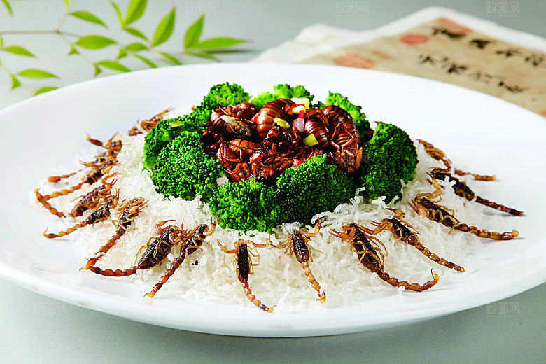 金蝉戏全虫餐饮高清图片素材