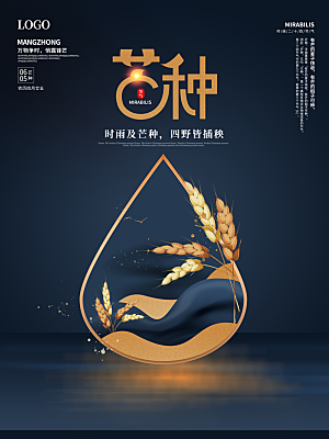 芒种节气简约大气海报