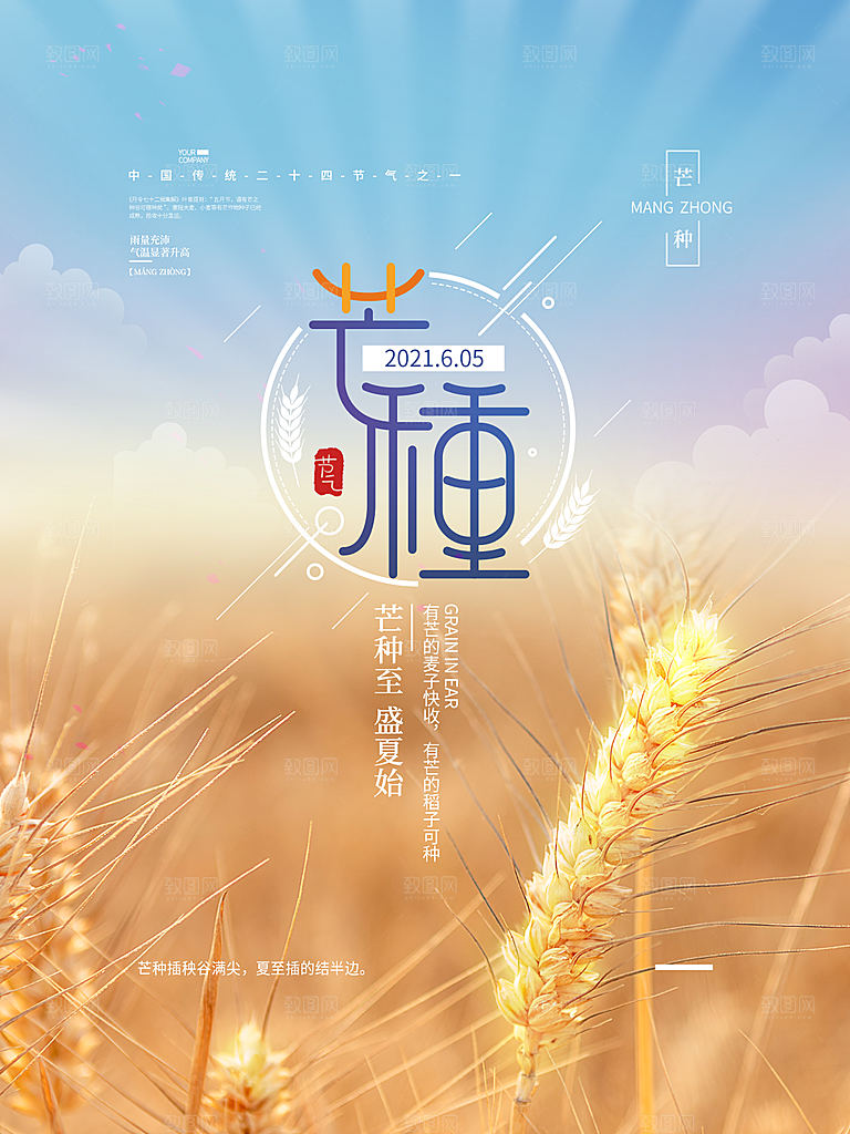 中国传统节气芒种海报模板