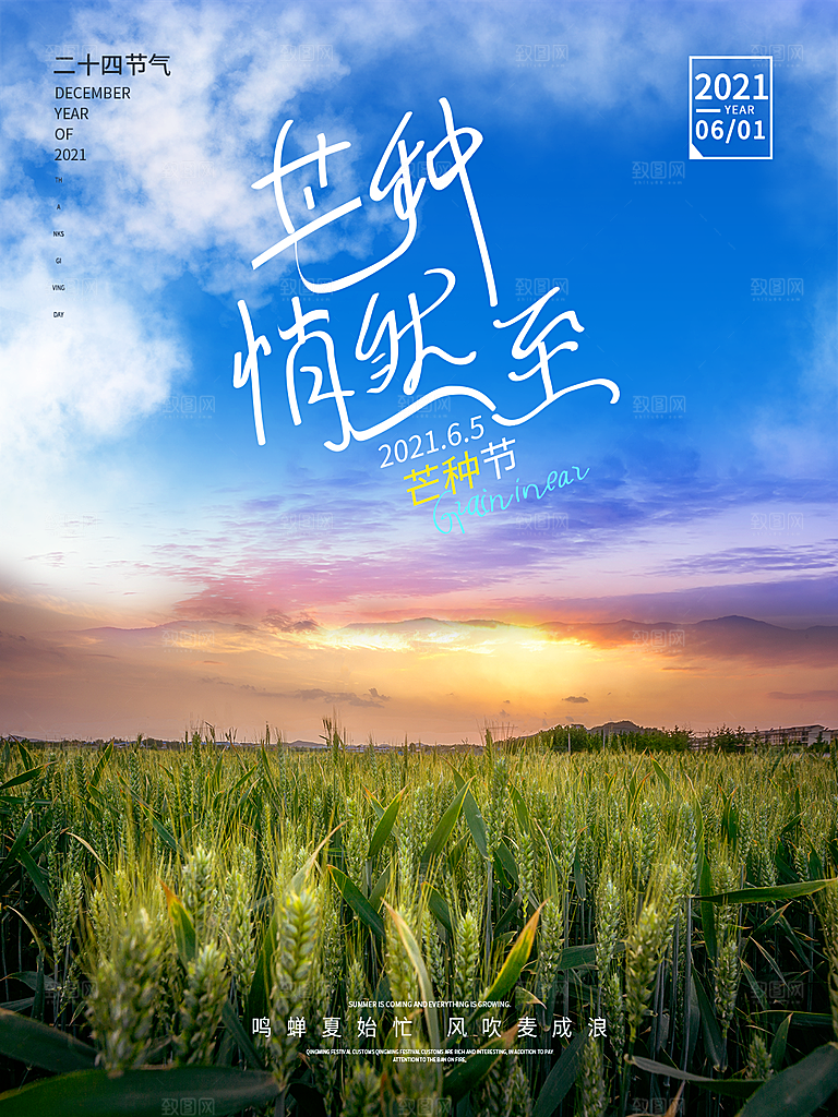 中国传统节气芒种海报模板