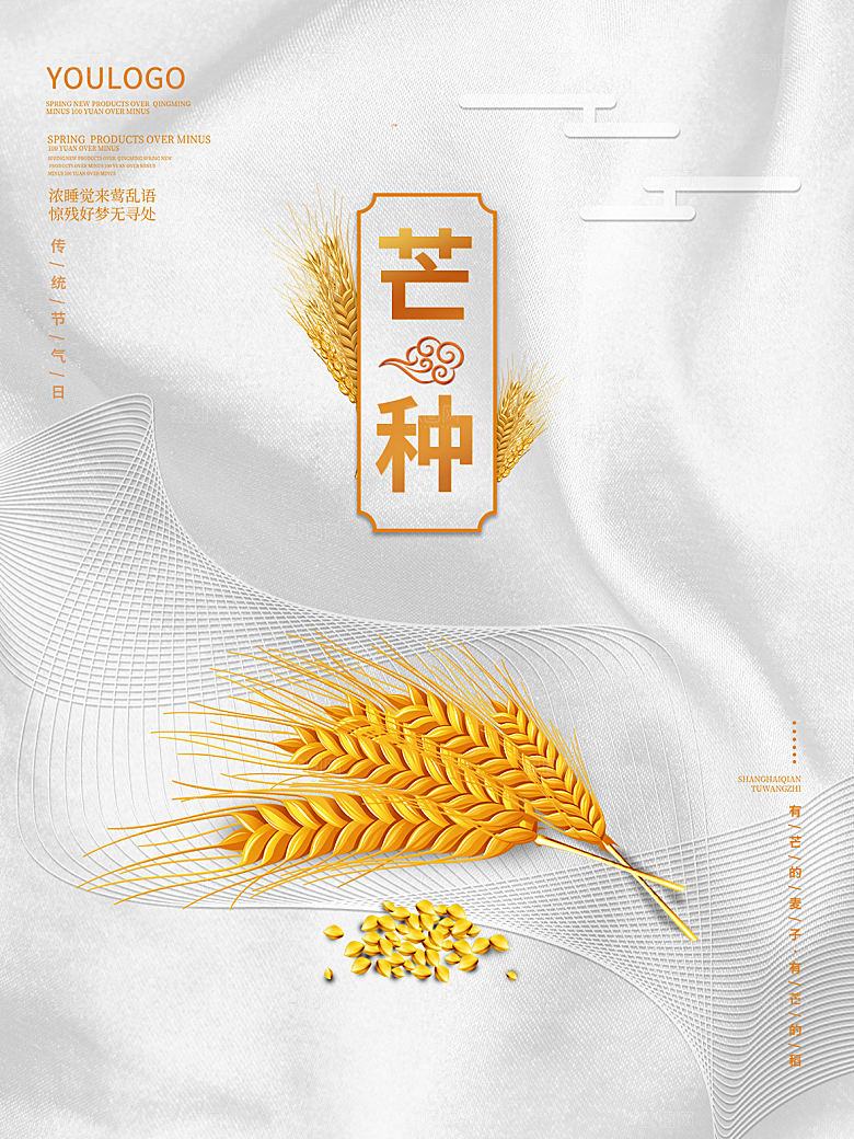 中国传统节气芒种海报模板