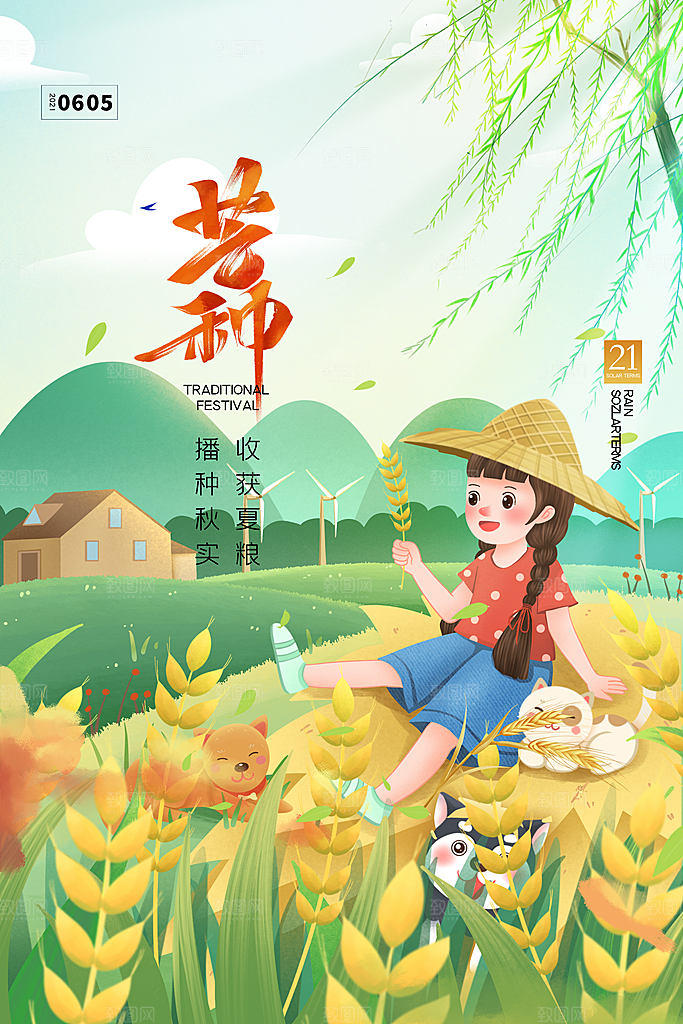 芒种节气简约大气海报