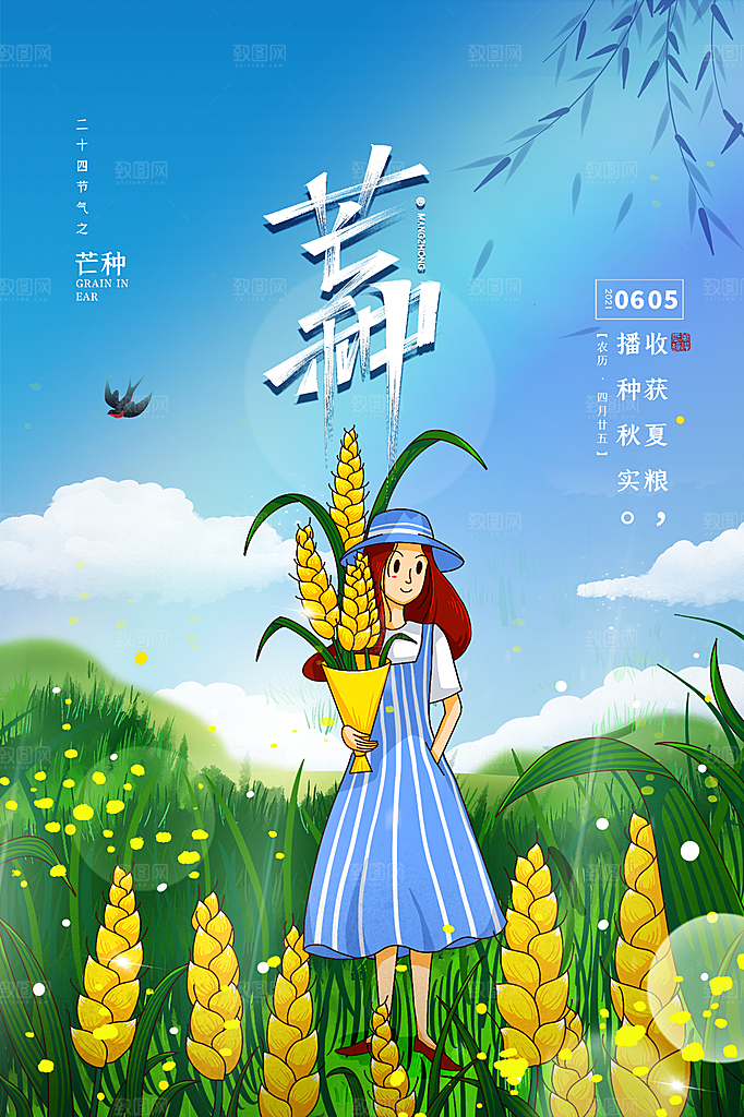 芒种节气简约大气海报