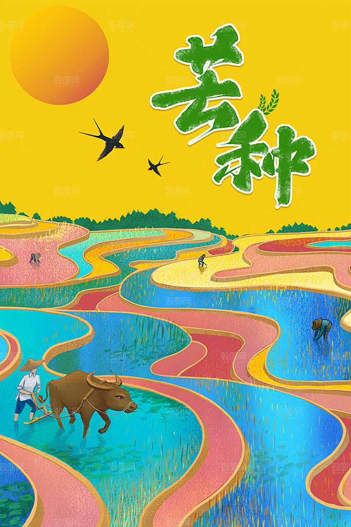 芒种节气简约大气海报