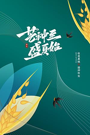 芒种节气简约大气海报