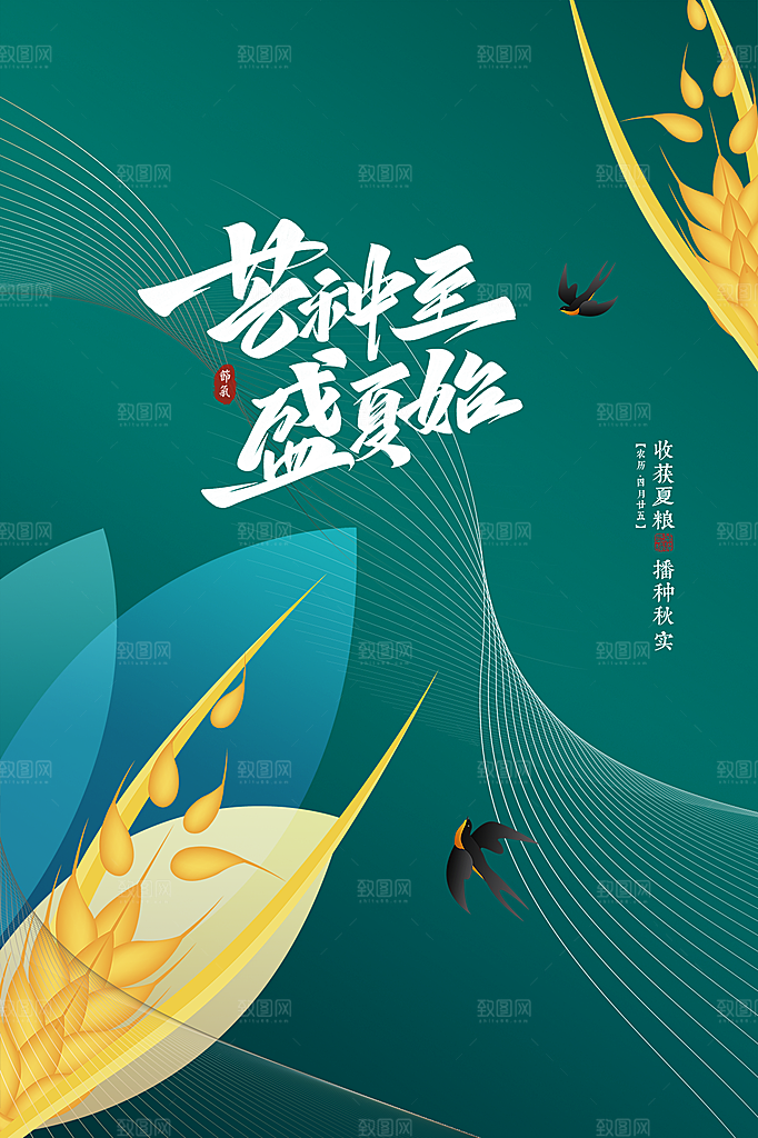 芒种节气简约大气海报